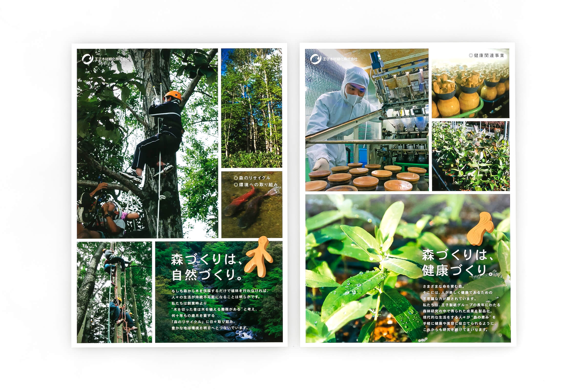 王子木材緑化株式会社 会社案内 差込み２